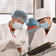  精于茶，良心茶遵循傳統制茶工藝