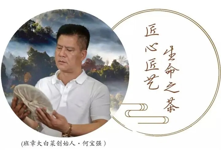 班章大白菜創始人何寶強