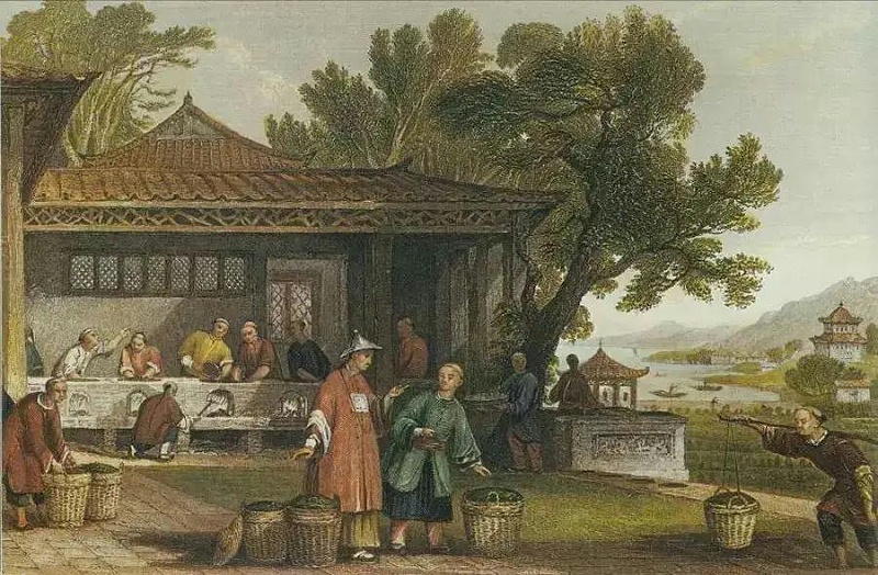 鴉片戰爭與茶葉的關系