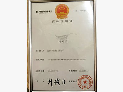 葉片情-商標注冊證