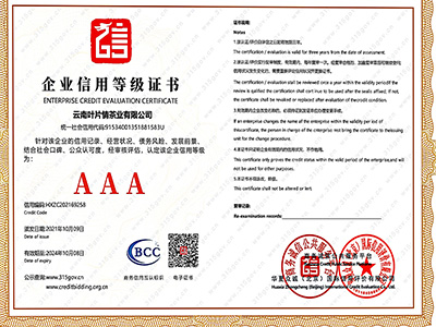 葉片情-榮譽(yù)證書(shū)