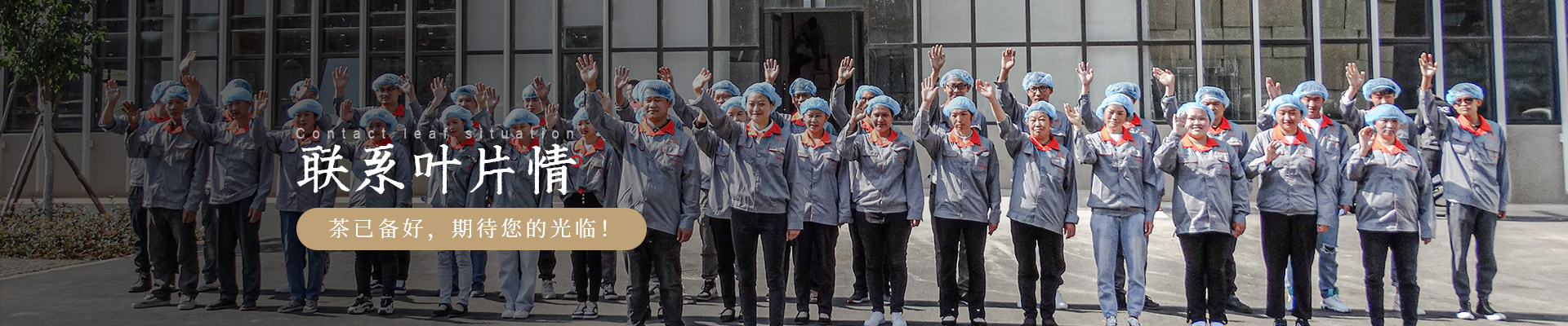 云南葉片情：茶已備好，期待您的光臨!