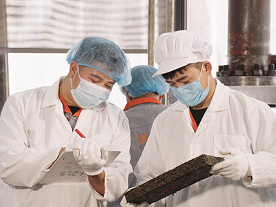 葉片情-技術(shù)指導