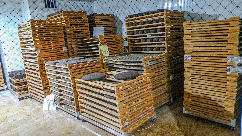 普洱茶儲(chǔ)存